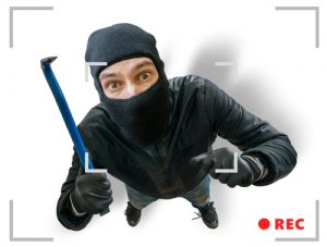 3 – Increase visibility to prevent potential burglars from hiding.